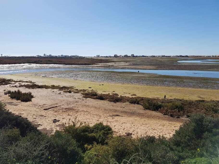 Villa Ria Formosa Pineview à District de District de Faro Extérieur photo