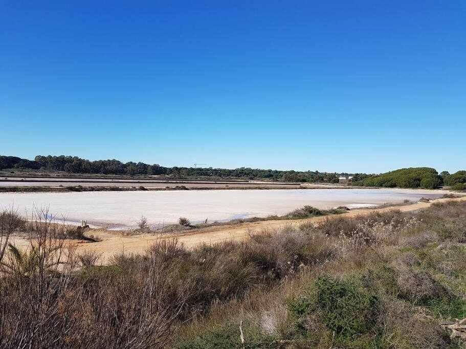 Villa Ria Formosa Pineview à District de District de Faro Extérieur photo